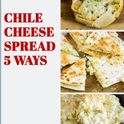 Chile Cheese Spread Five Ways takes a basic spread or dip & uses it in different recipes. It's easy to make and has great flavors.