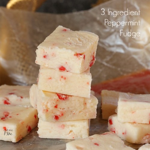 The World's Best Peppermint Fudge