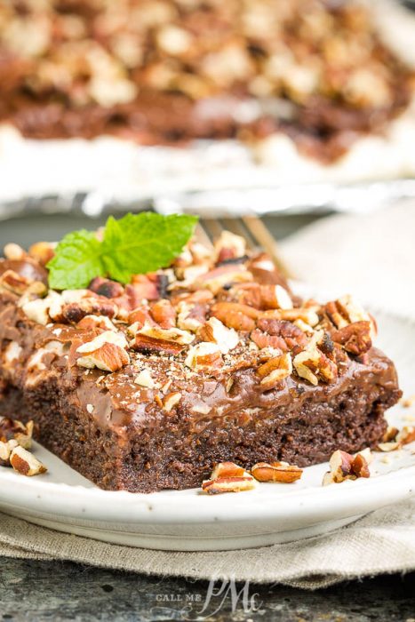 Mississippi Mud Cake Recipe is a rich, dense chocolate cake topped with marshmallows and chocolate frosting. #cake #brownies #dessert #callmepmc #recipe #cocoa #marshmallows #ganache #rockyroad #msmudcake #pecans