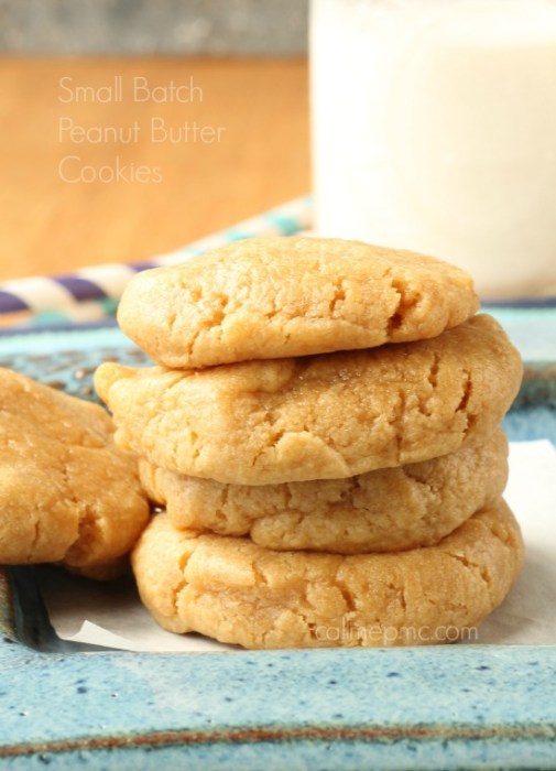 SMALL BATCH PEANUT BUTTER COOKIES