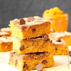 Chocolate Chip Pumpkin Snickerdoodle Blondies