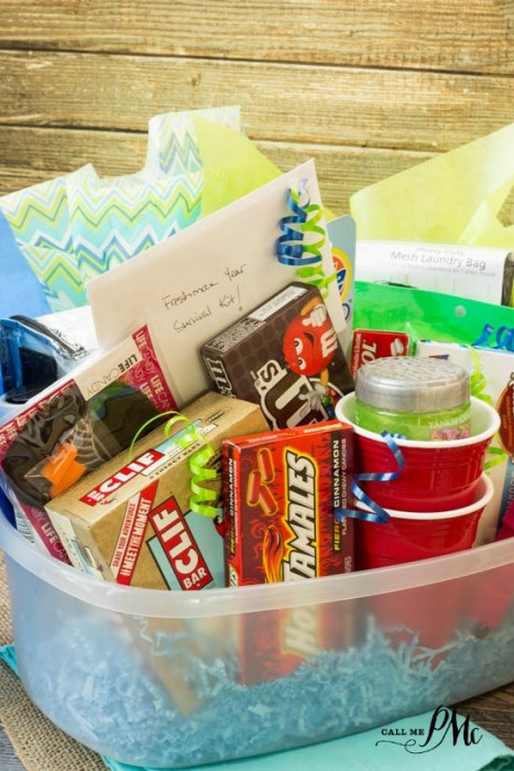 Freshman College Survival Kit Ideas