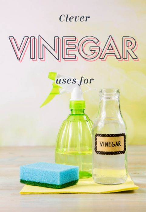 CLEVER USES FOR VINEGAR