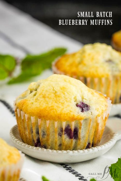 Small Batch Blueberry Muffin 