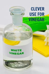 CLEVER USES FOR VINEGAR