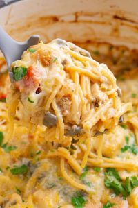 Chicken Tetrazzini with Kale and Sundried Tomatoes