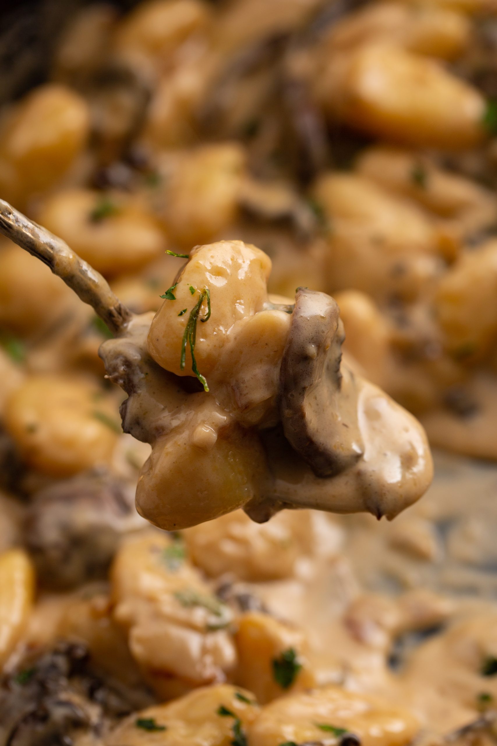 Close-up of food, garnished with chopped herbs, on a spoon.