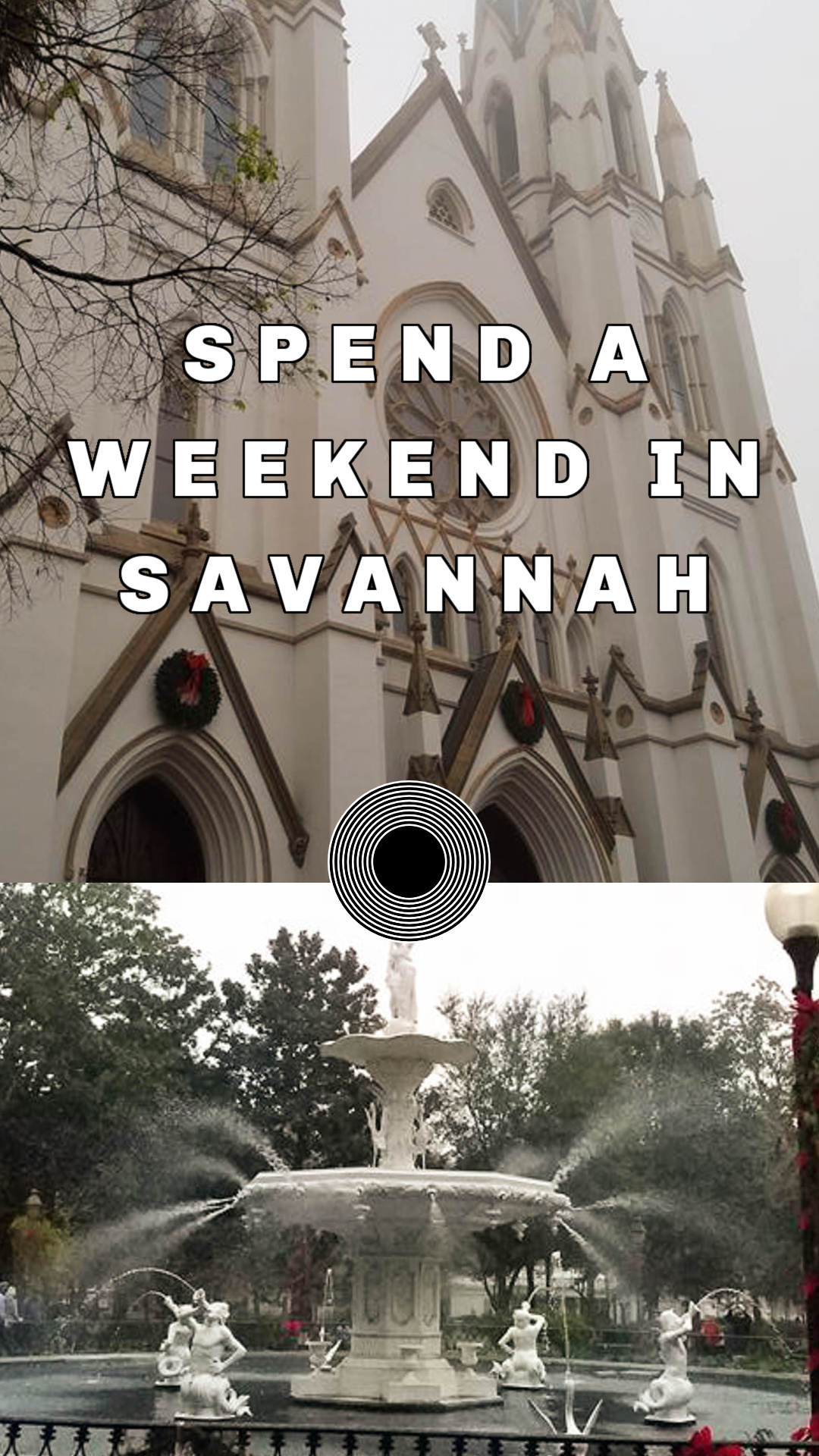 48 hours in savannah