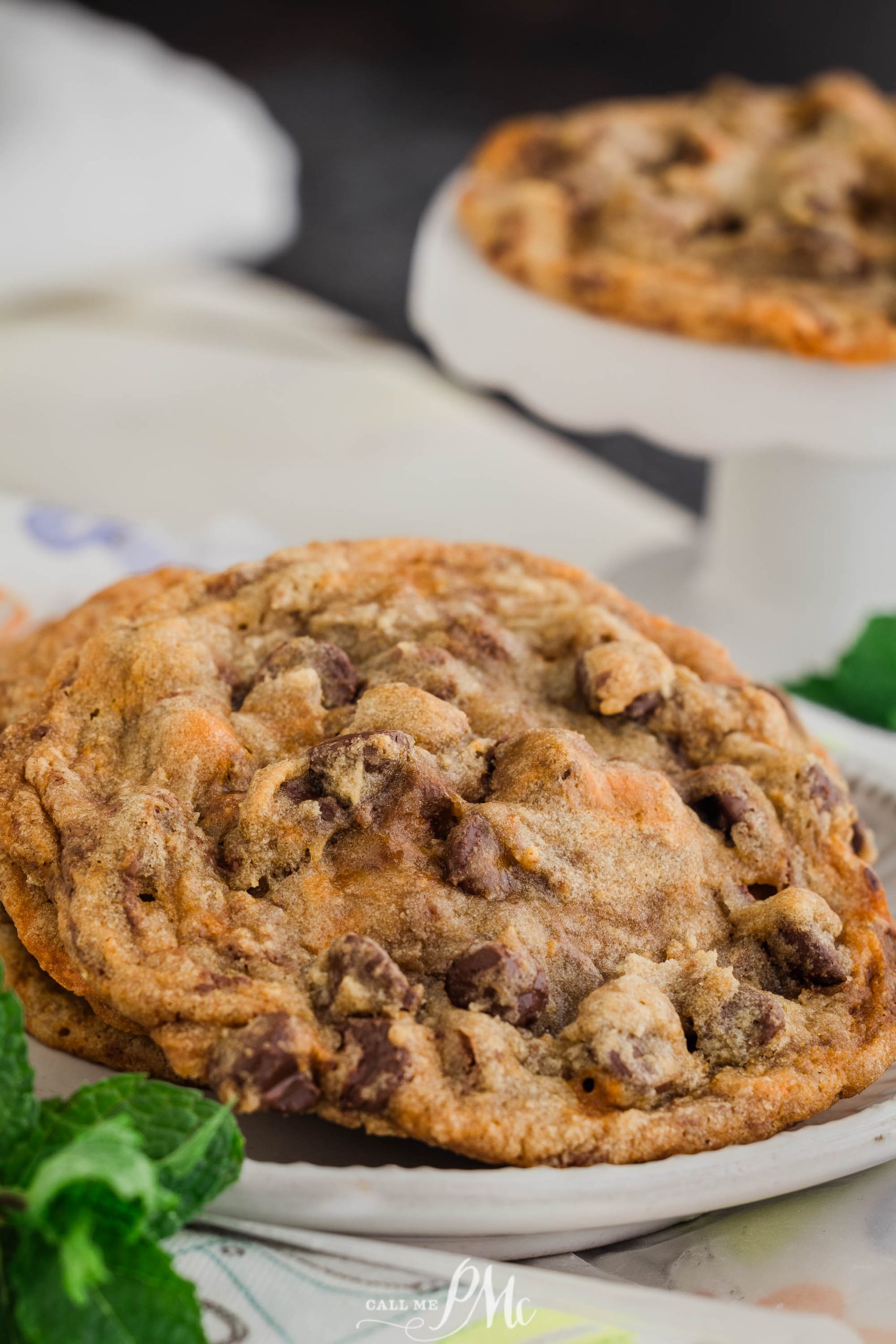 Close-up of two chocolate chip cookies, one in the foreground and the other slightly blurred in the background, with a sprig of mint nearby.