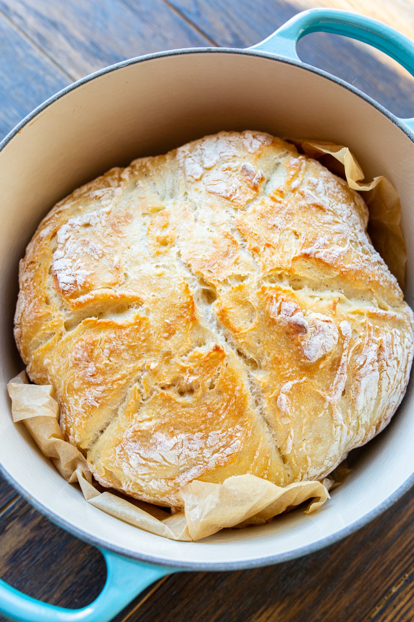 A round loaf of freshly baked Dutch Oven No Knead Breadwith a golden crust sits in a blue enameled cast iron pot lined with parchment paper.