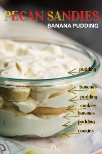 A close-up of a layered dessert labeled as "Pecan Sandies Banana Pudding," showing pudding, bananas, and cookies in a glass dish. Each layer is indicated by arrows and text pointing to its respective portion.