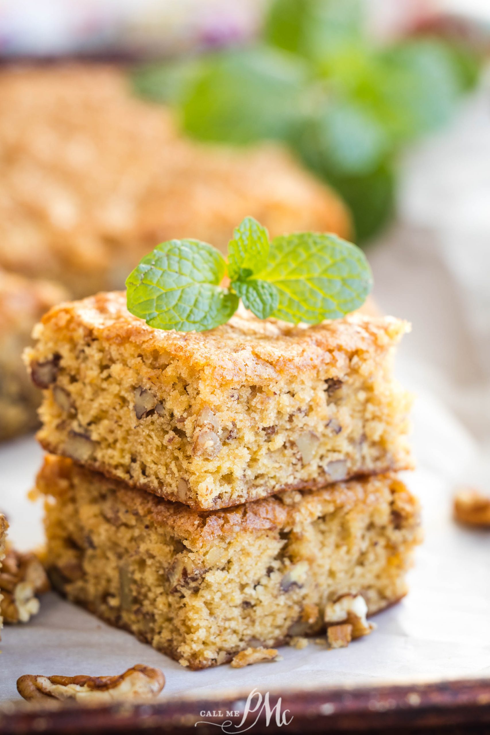 Two square slices of nutty cake stacked on a plate, topped with a sprig of mint.