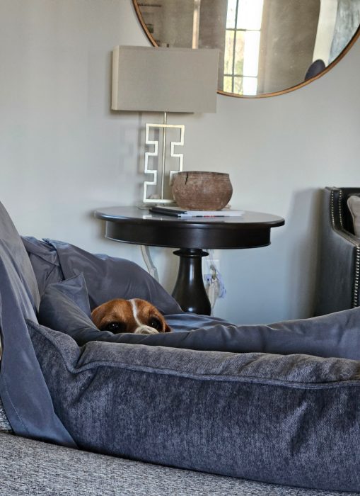 A dog peeks over a gray couch cushion in a living room. There's a round table with a lamp and decorative items in the background.