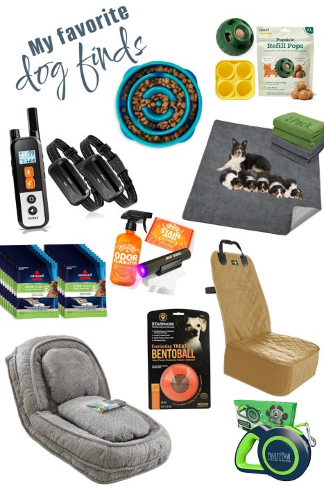 Collage of various dog products, including food, toys, a training device, grooming items, and pet beds.