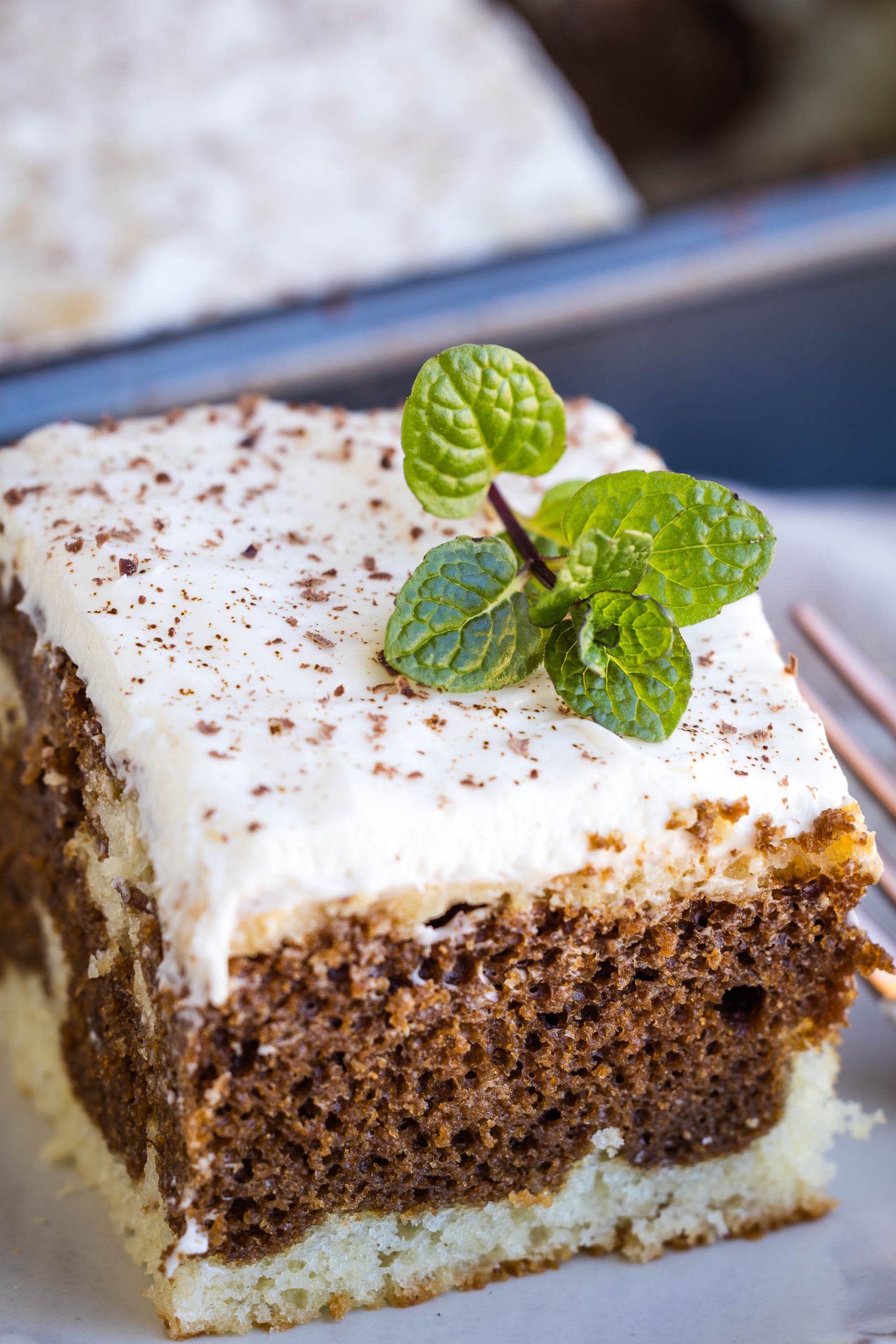 A slice of cake, featuring rich brown and white layers, is elegantly topped with cream and a sprig of mint, served on a pristine white plate.