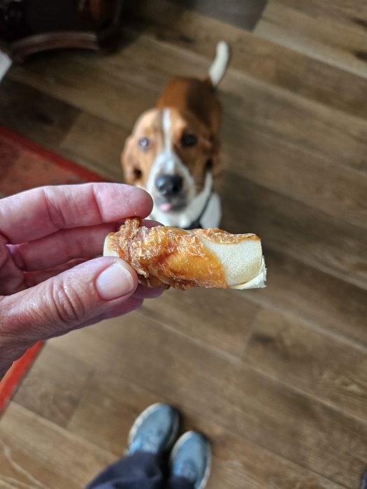 A person holds a bone covered in meat, a dog, looks up expectantly from the wooden floor in the background.