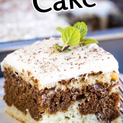 Slice of tiramisu cake with cream topping and mint garnish on a plate. Background shows more cake. Text: "Tiramisu Sheet Cake" and "not like all the others😊".